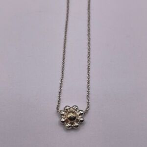 Tiffany & Co. Daisy Necklace with Gold